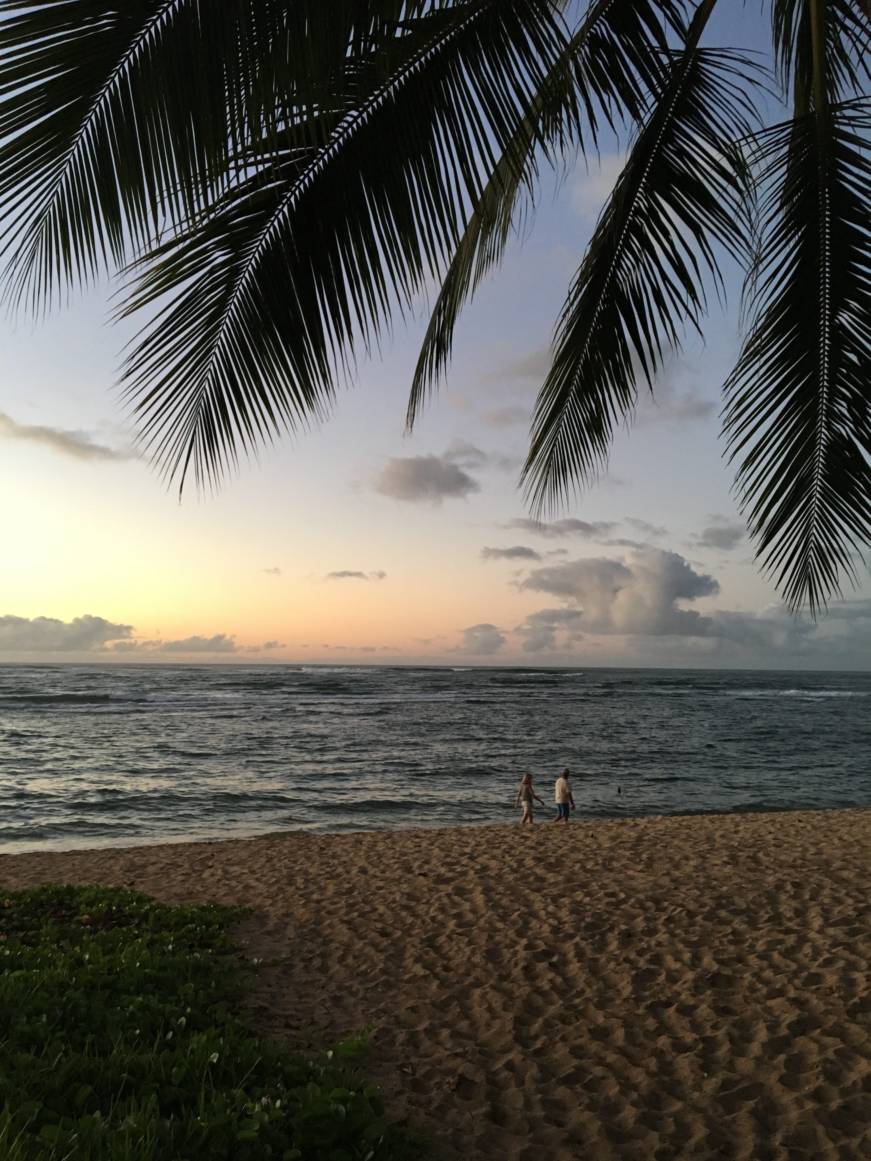 file26 Island Energy Services