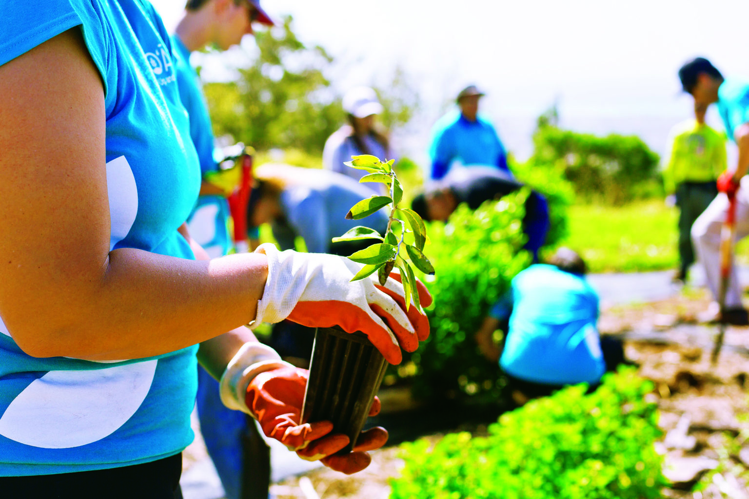 Values Island Energy Services